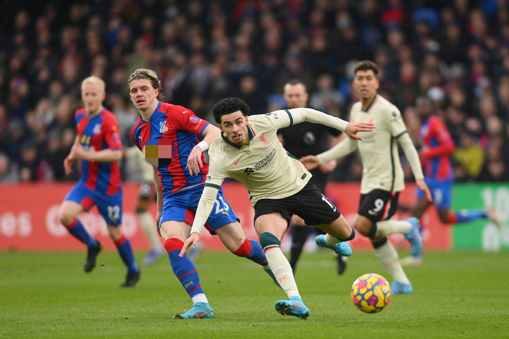 哈尔滨将自 哈尔滨将自